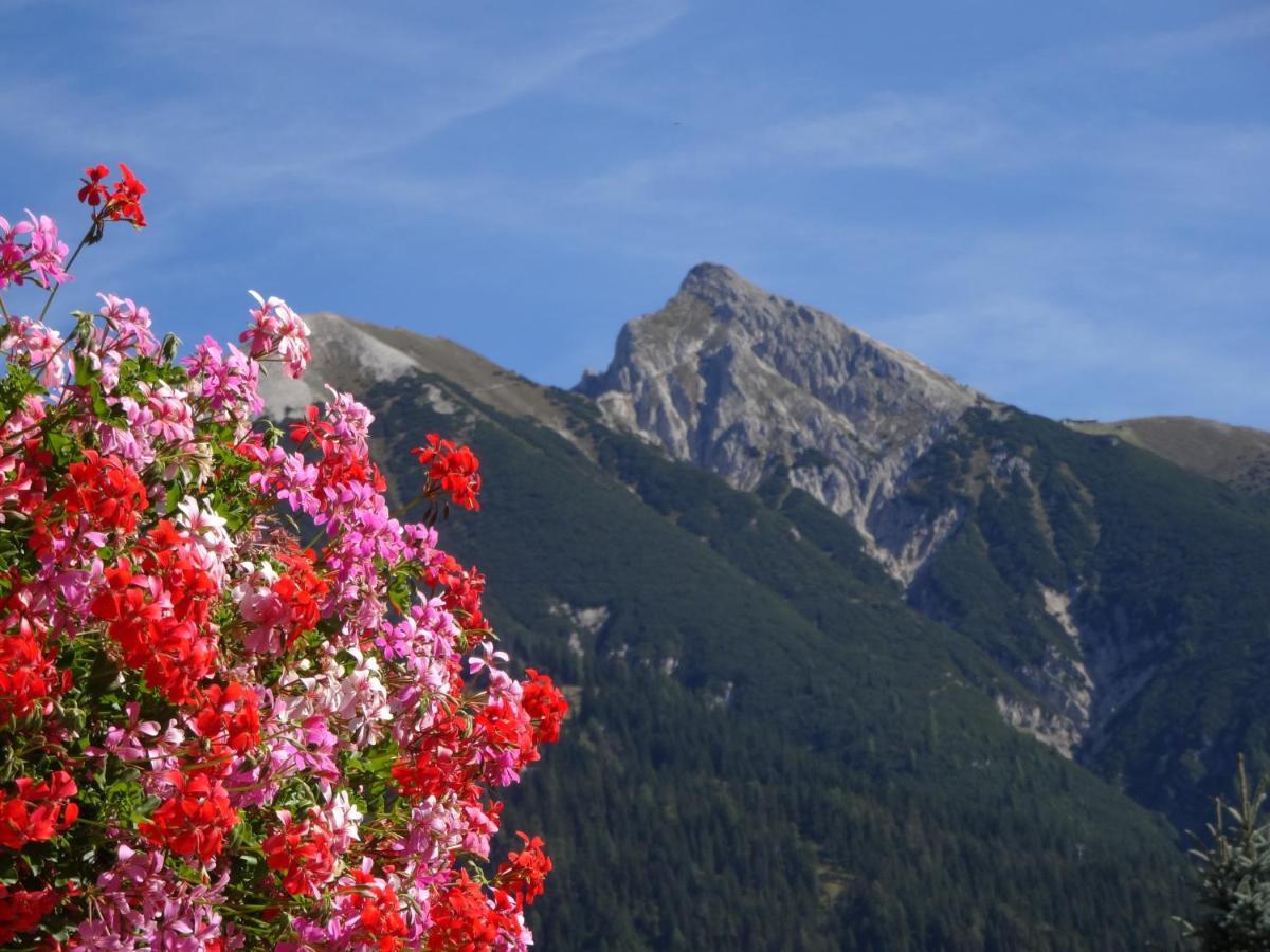 Haus Schoenblick Seefeld in Tirol Buitenkant foto